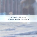 미노리 이미지
