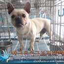 화랑로5 이미지