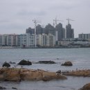 다부회집 이미지