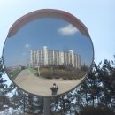 금구목장 Daum카페