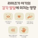 세탁스토리 | 신생아 장난감 추천, 라마즈애벌레세트 내돈내산 후기 &amp; 안전한 세탁 방법