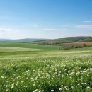 백화초등학교 | SNS에서 뜨는 백화초 비누, 3가지 핵심 비결을 알고 계신가요?