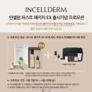 인셀덤RS대전