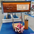 코엑스 전시회, 한국국제사인디자인전 방문 후기