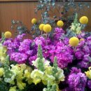 푸른교회 이미지