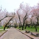 이대맛태 이미지