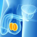 사이언스비뇨의학과의원 이미지