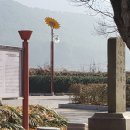 가덕도 척화비 이미지