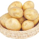 클락짐 공덕점 | [공덕피티/클락짐] 탄수화물