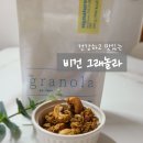 건강한 비건 그래놀라 추천! 알로하컴퍼니 수제 그래놀라 슬로 그래놀라 시그니처