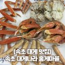 [속초 대게 맛집] 속초 대게나라홍게마을 후기 (대게세트, 오징어물회, 볶음밥)