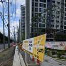 수성마디튼튼의원 | 대구 곳곳에서 만나는 건강 메시지! 대구 게릴라 현수막 월관리 (feat. 수성 마디 튼튼 의원)