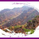♣ 2011년.11월 2일. 수요산행＜관악산＞공지 ♣ 이미지