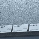 쁘띠헤어 이미지