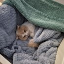 라벨팜므 산후조리원 이미지