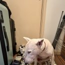 수아민박 이미지