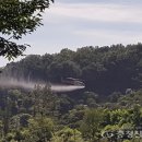 공주밤나무 이미지