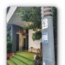 서귀포미친게스트하우스파티 이미지