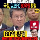 국민의힘, 김포fc 80억 횡령, 모두 홍철호 인맥? 이미지