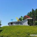 알펜시아 스포츠파크 크로스컨트리 경기장 이미지