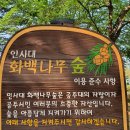 신관로>공주대학로 이미지