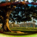 우즈아이웨어 이미지