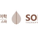 테라피스파소베홀리데이인점