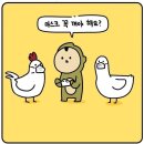 (주)케어시스 이미지