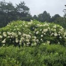 숲속의 하루 이미지