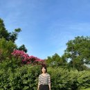 쥬세페자노티 토링 샌들 1년 착용 후기 및 Farfetch 파페치 구매 추천