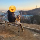 더달달한오후 이미지