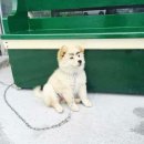 블챌존나햇더니할제뮥이없네요^^