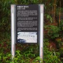 계곡과소나무 | 동해 무릉계곡 여행｜비 온 뒤 더 아름다운 계곡과 삼화사, 용추폭포 후기