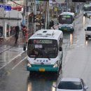 주정차-19 이미지