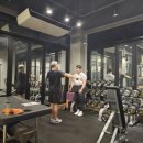 하나헬스 이미지