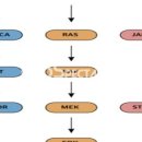바이오스파마 | 바이오 투자하지 마라?! - 바이오 투자의 어려움