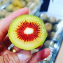 이매역 3번출구 이미지