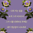 창세기 40:9-23, 요셉의 말대로 된 두 관원장의 운명/ 묵상 이미지