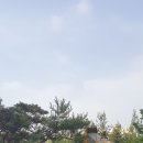 청솔조경 이미지