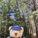 둔산 선사유적지 이미지