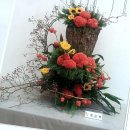 샤론수퍼 | 제주에서 꽃향기로 가득한 일상, 샤론의꽃에서 만나는 특별한 순간