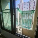 명덕못 클린하우스 | 청주 클린하우스 비둘기 퇴치, 실외기 청소, 소독 후 비둘기 차단망 설치 가격 및 내돈내산 후기