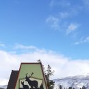 Re: Tonquin Inn 이미지