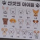 선셋커피 - 중구 용유서로 161 | 영종도 을왕리 선셋 커피 유기견 카페 방문 후기 애견 동반 금지