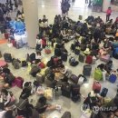 제주하늘집 이미지