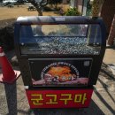 호산나주유소 네이버블로그