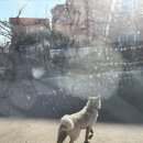 오창농장 이미지