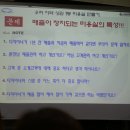 김순덕미용실