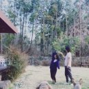 노을과바다민박 이미지