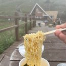 초원휴계소 | 영남알프스 산책갔다가 사족보행 후기